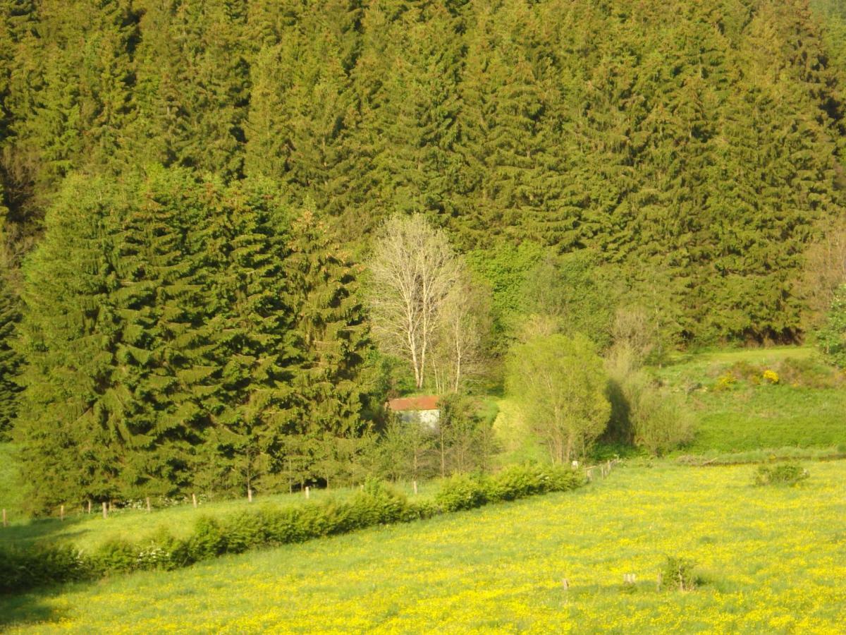 Location Panoramagreen 伯格罗伊兰 外观 照片