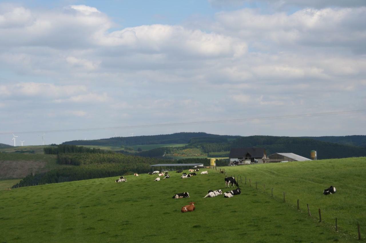 Location Panoramagreen 伯格罗伊兰 外观 照片